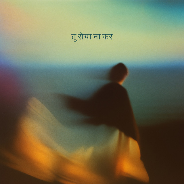 TU ROYA NA KAR cover art