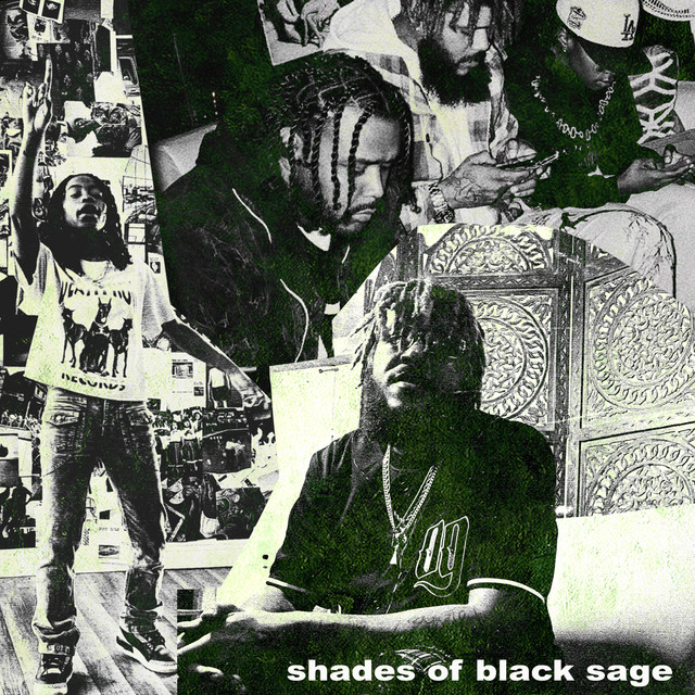 Shades Of Black Sage cover art