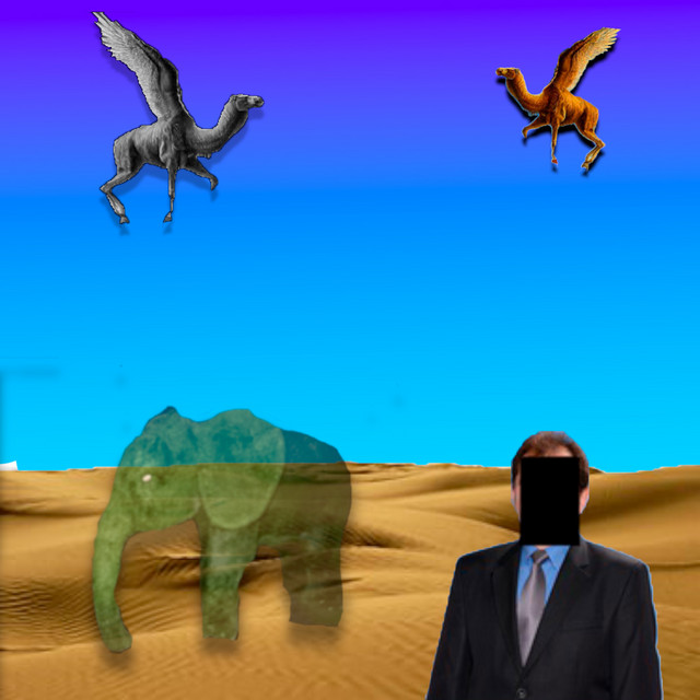 Cover art: Летіли два верблюда — Kofak Pacuk