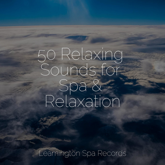 50 Relaxing Sounds for Spa & Relaxation - Album by Rain Sounds Sleep ...