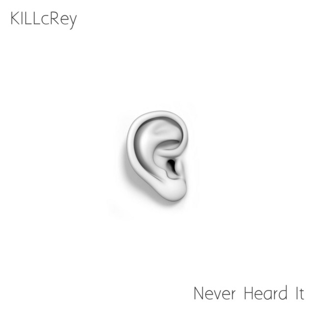 Never Heard It cover