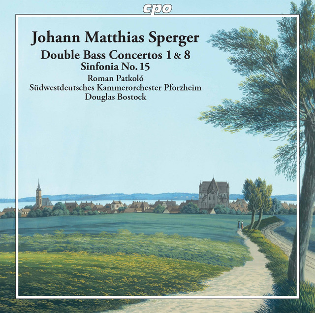 Double Bass Concerto No. 1 in D Major: I. Allegro moderato