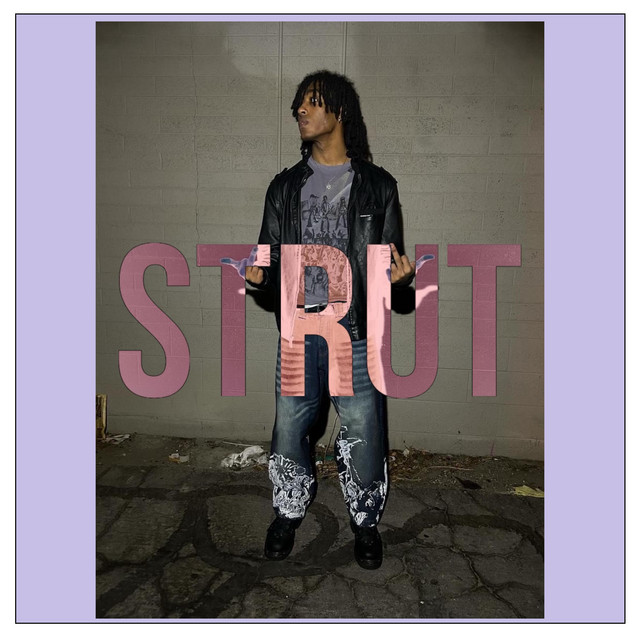 Strut cover art