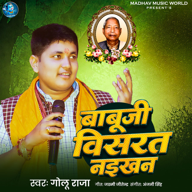 Babuji Bisarat Naikha album image