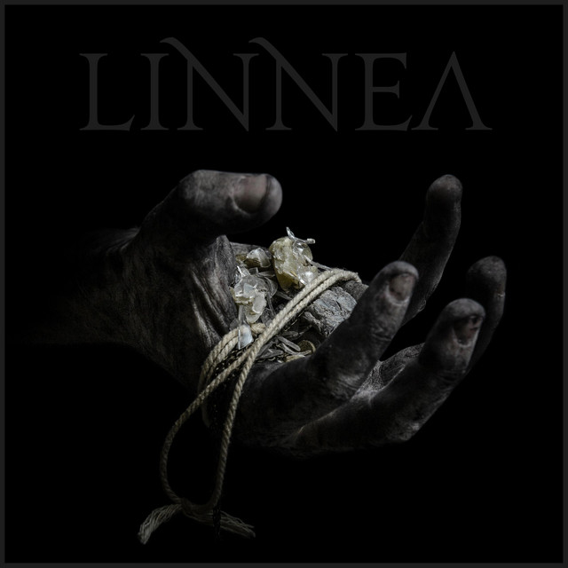 Linnea cover