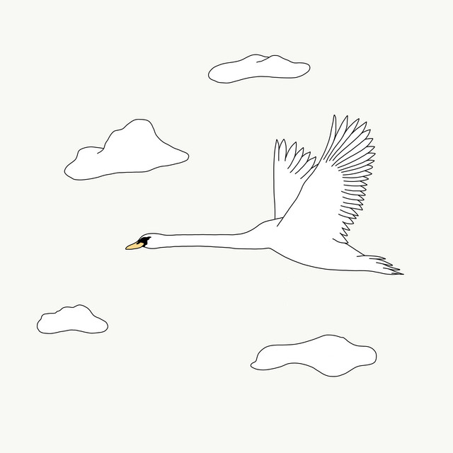acceptance cover art