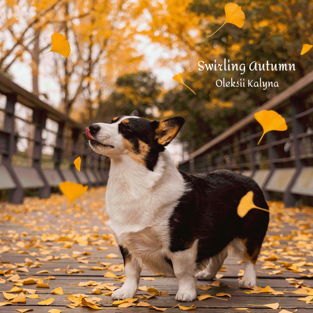 Обкладинка: Swirling Autumn — Oleksii Kalyna