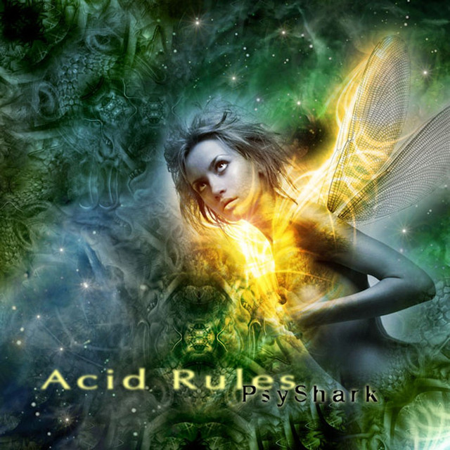 Acid Rules cover art