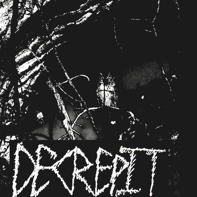 Reborn Unto Darkness cover