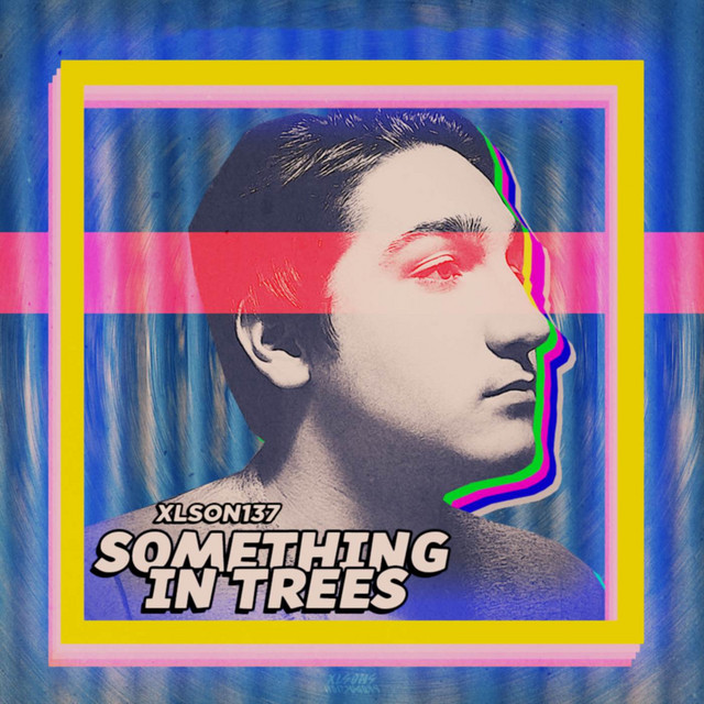 Обкладинка: Something in Trees — Xlson137