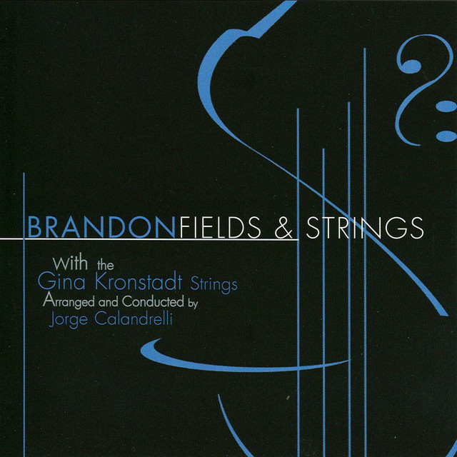 Fields & Strings cover art