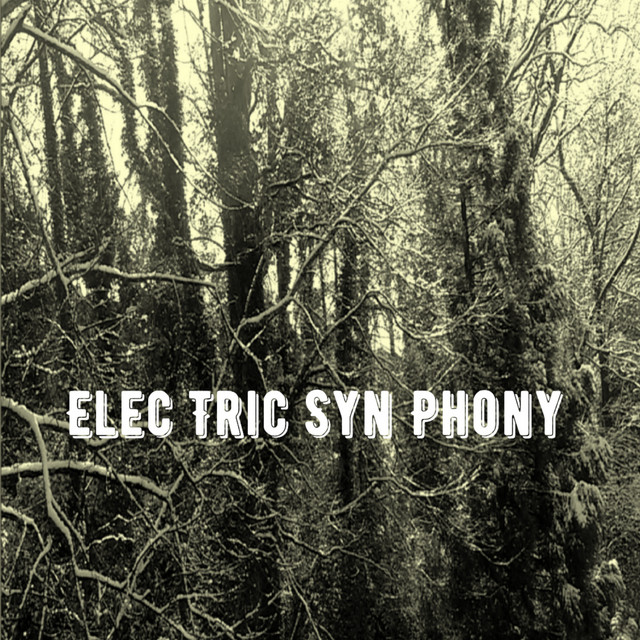 Elec Tric Syn Phony cover art