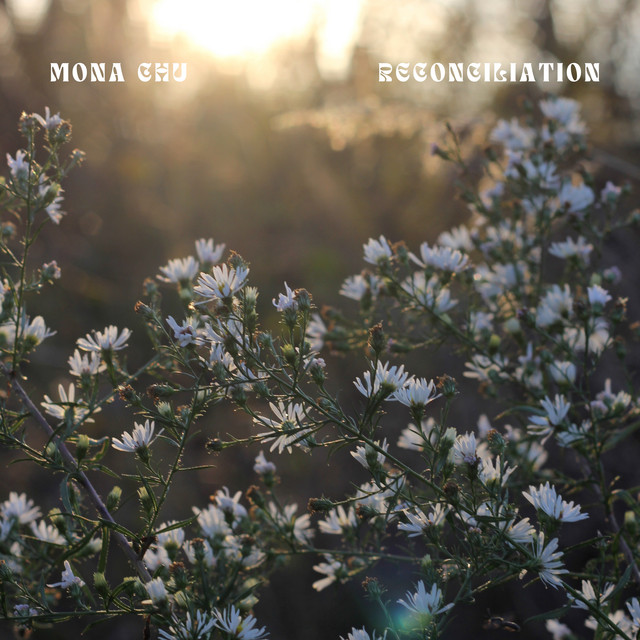 Reconciliation cover