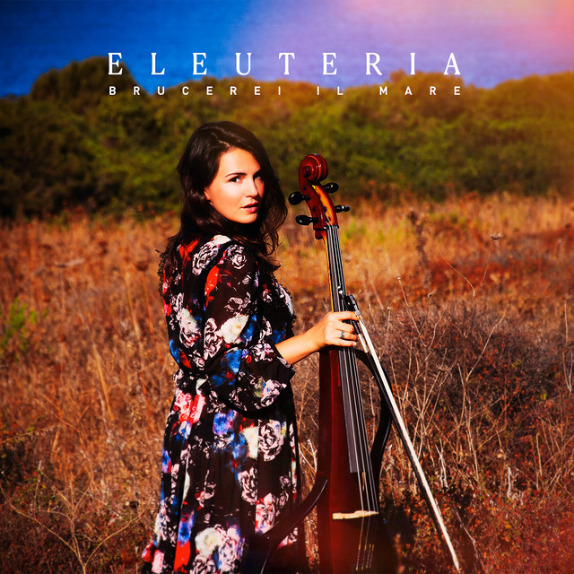 Brucerei il mare cover art