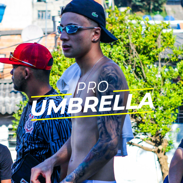 Umbrella cover art