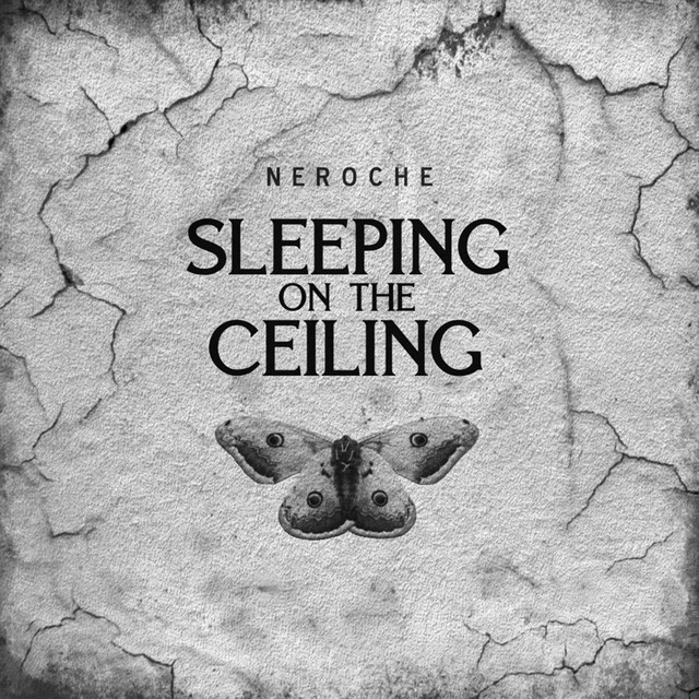 Sleeping on the Ceiling cover art