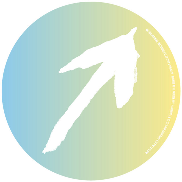 Palindrome 1 cover art