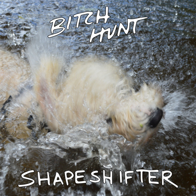 Shapeshifter cover