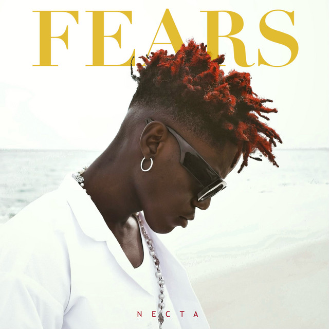 Fears cover art
