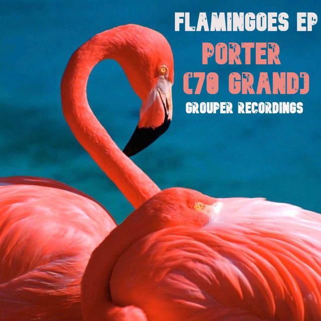 Flamingoes EP cover art