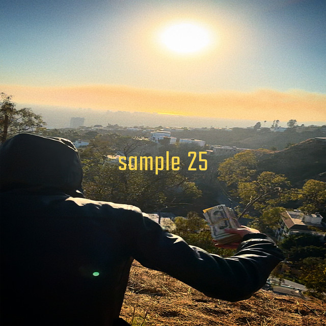 Sample 25 cover art
