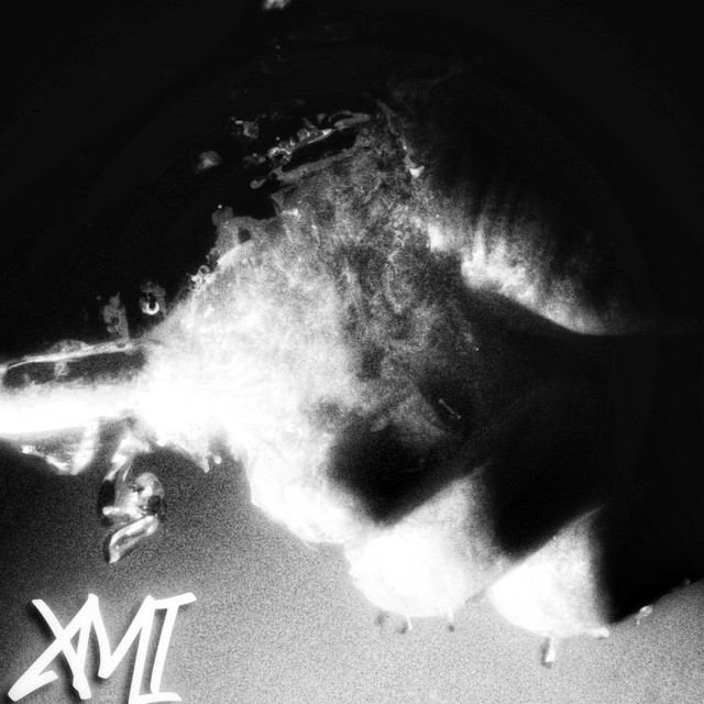 XMI cover art