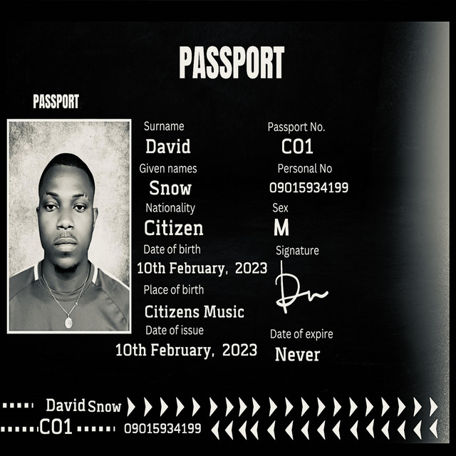 Citizenship cover art