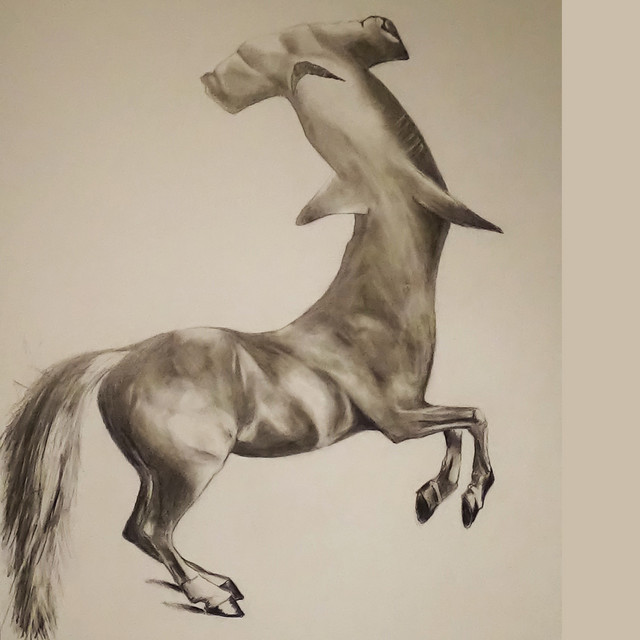Hammer Head Horse cover art