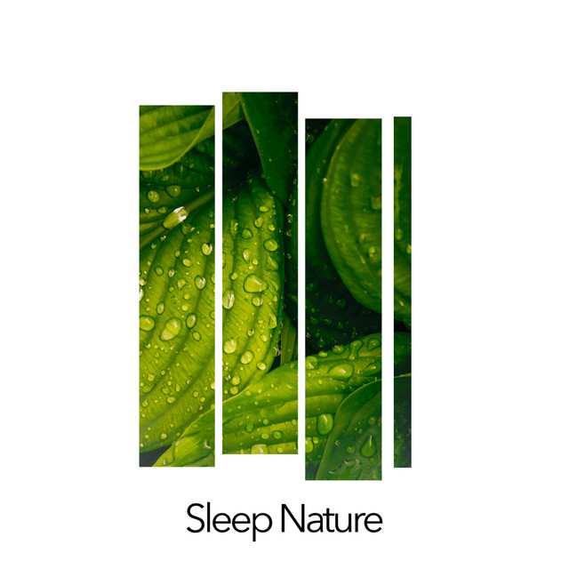 Sleep Nature cover art
