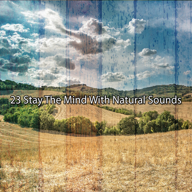 23 Stay The Mind With Natural Sounds - Album by Sleep Sounds of Nature ...