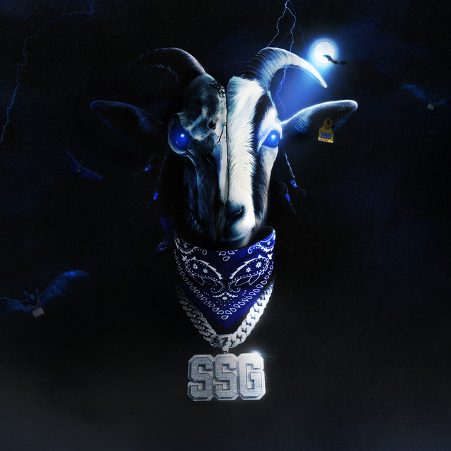SSG cover art