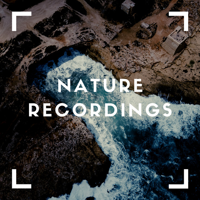 Outdoor Sounds for Mixing Sleep cover art