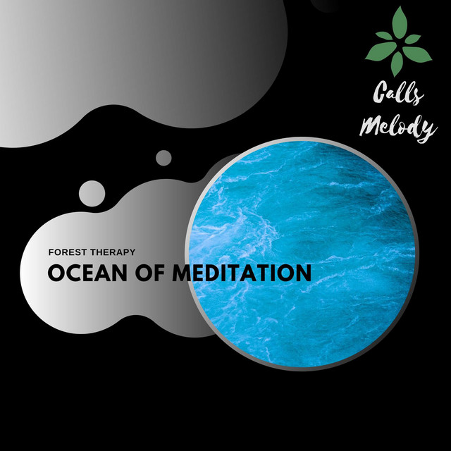 Ocean Of Meditation cover art