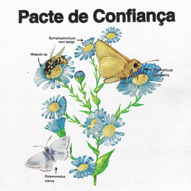 Pacte de confiança