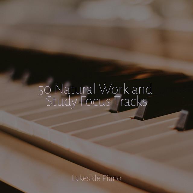 50 Natural Work and Study Focus Tracks - Album by SD | Spotify