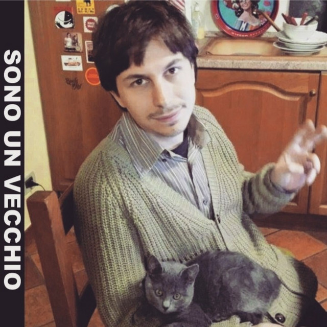 Sono un vecchio cover art