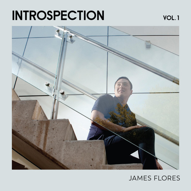 Introspection, Vol. 1 cover art