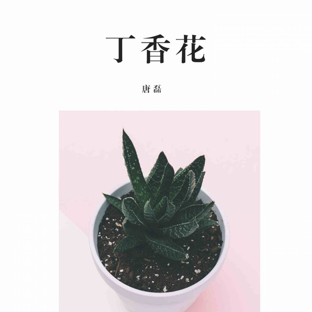 丁香花 cover art