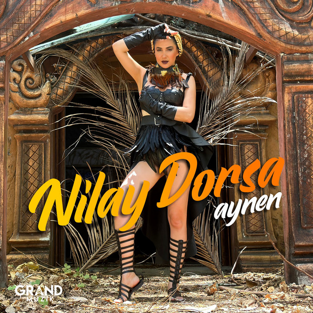 Aynen cover
