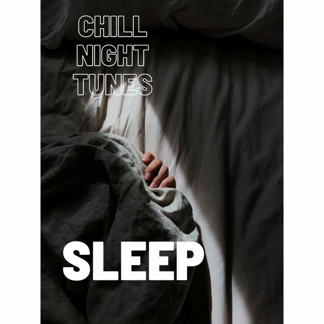 Sleep - Single by Chill Night Tunes | Spotify