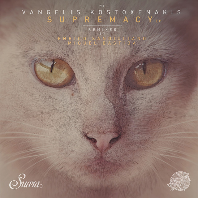 Son of a Gun - Enrico Sangiuliano Remix cover art