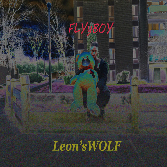FLYyBOY cover art