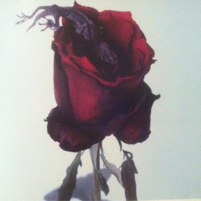 Turn Yo Back cover art