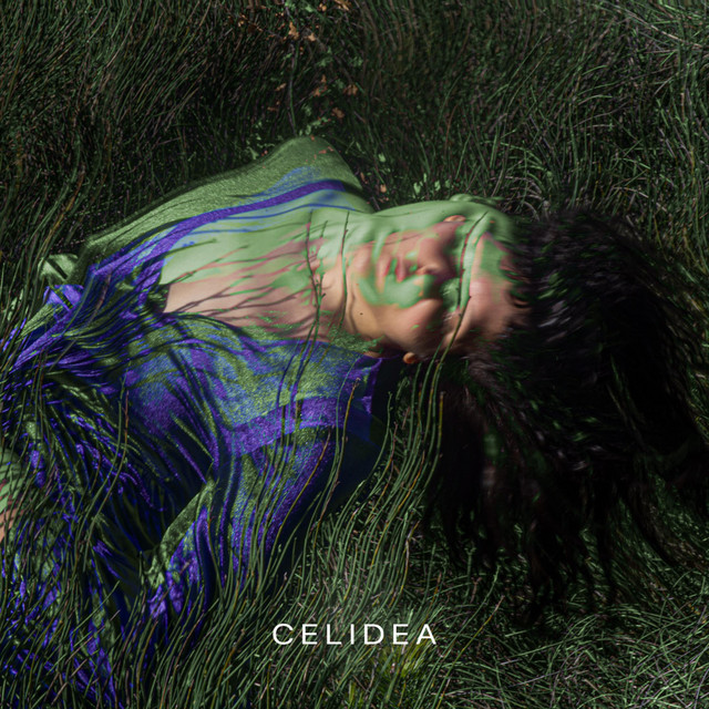 Celidea cover art