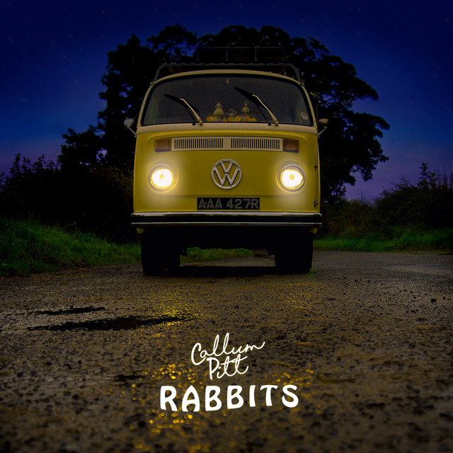 Rabbits cover