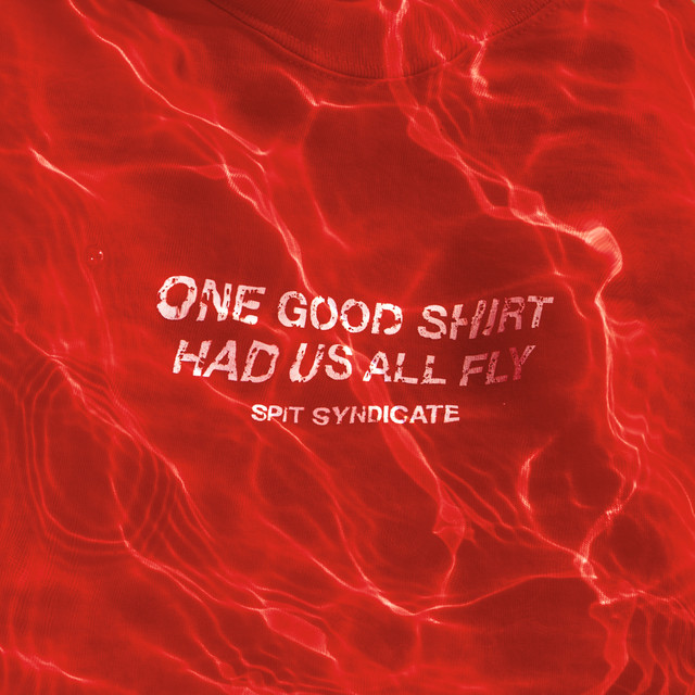 One Good Shirt Had Us All Fly cover art