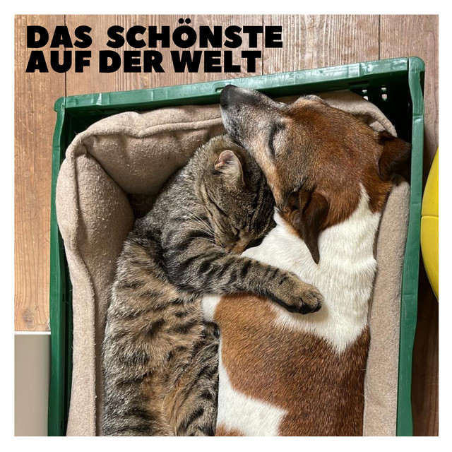 Das Schönste auf der Welt cover