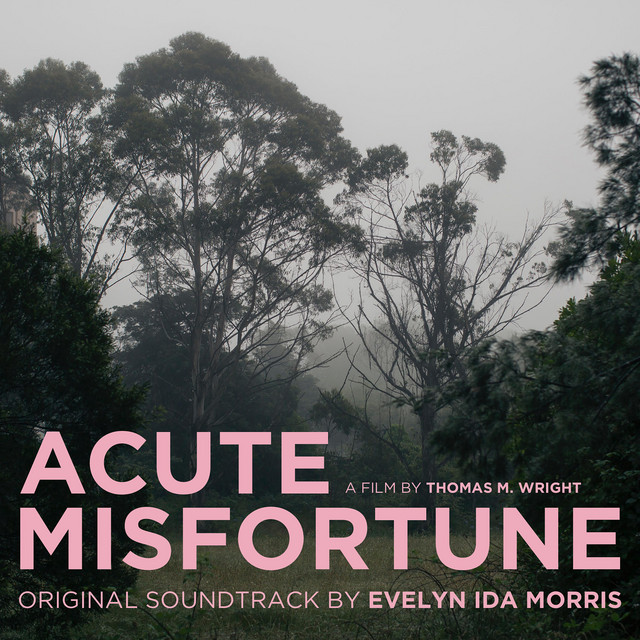 Acute Misfortune (Music from the Original Motion Picture) cover