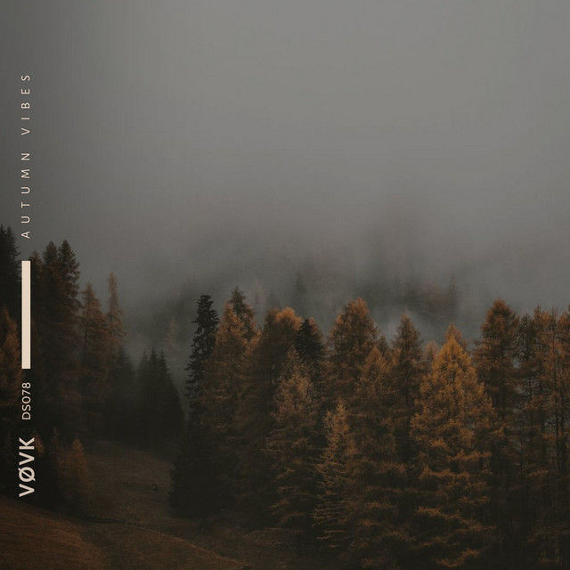 Обкладинка: autumn vibes - slowed + reverb — VØVK