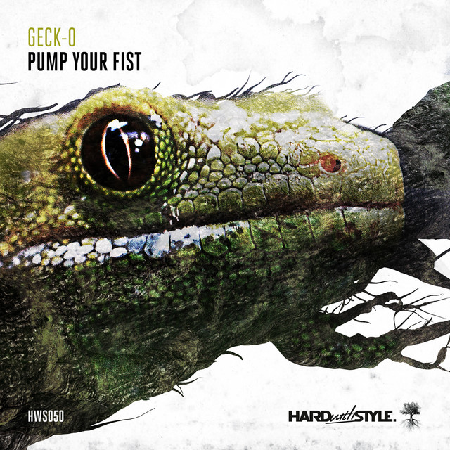 Pump Your Fist album art
